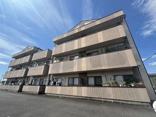 ツインズ前平の画像