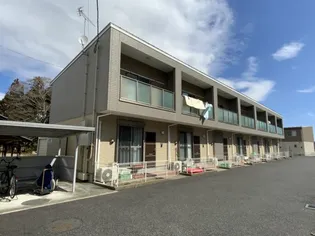 プラシードの画像