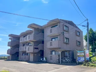 金剛マンションの画像