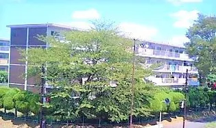 成田第一住宅 11号棟の画像