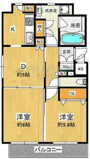 Zio V 玉造【3階】の間取り