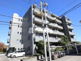 ルネス レヴールの画像