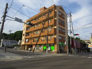 マルベリープレーンハイツの外観