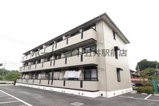 ベイコートの画像