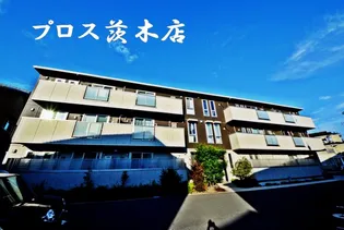 メゾンドォール サライの画像