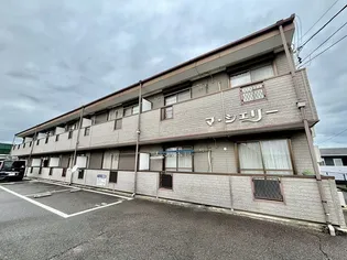 マ シェリーの画像