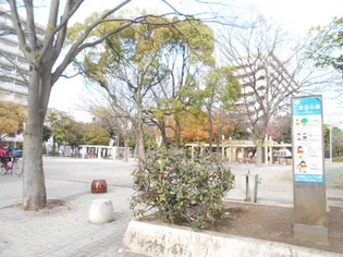 ペルシェール西葛西【10階】の周辺