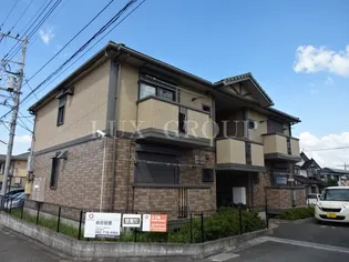 アタラクシアの画像