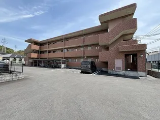 フォレストの画像