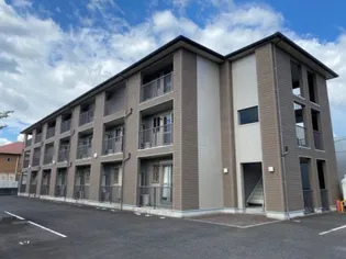 パールコートの画像