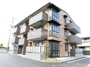 サザンクロスの画像