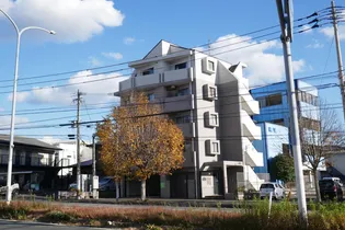 シティパレス南福岡の画像