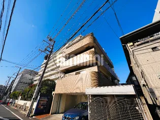 アドニスパセーニアの画像