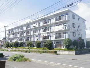 エーデルワイス【1階】の外観