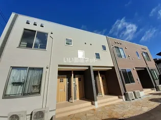 ジュノ ホワイトAの画像