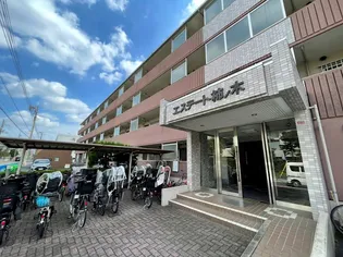 エステート柿の木の画像