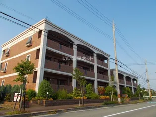 プラムガーデンの画像