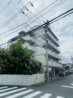 ジュネパレス松戸第94の画像