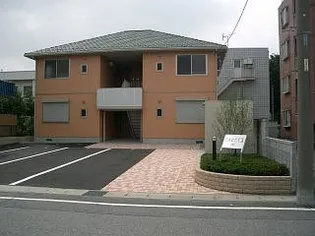 ルピナスの画像