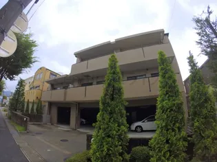 パルテールセツヨウの画像