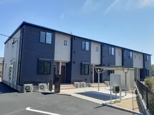 フェリス エスの画像