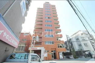 サンフレアサクマ15の画像