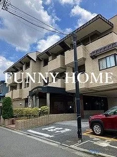 アフロヴィーナの画像