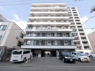 セトルクラシカルの画像
