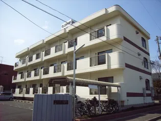 福島県郡山市亀田1【マンション】の間取り