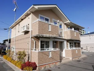 ノール アンソレイエ Sの画像