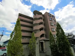 フォレスト愛子の画像