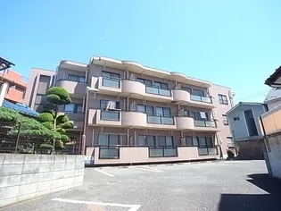 PEACEFULの画像