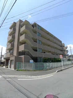 ハイネスエスエスティ【5階】の外観