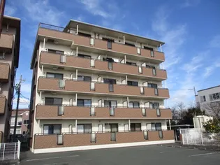 シャンボールⅡの画像