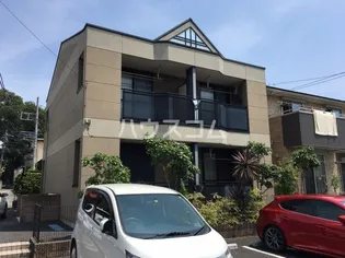 プチ オリーブの画像