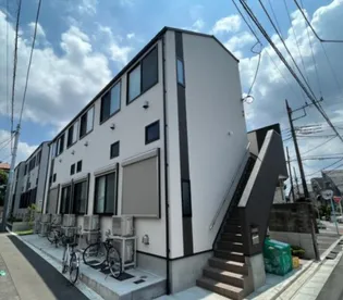 シャルムニシオギの画像