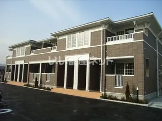 ストリート秋桜の画像