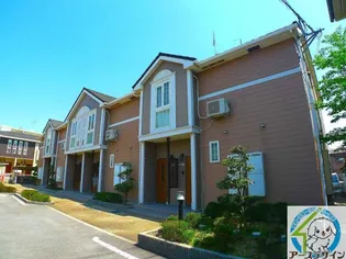 コモドジラソーレの画像