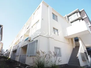 フラットスズキの画像