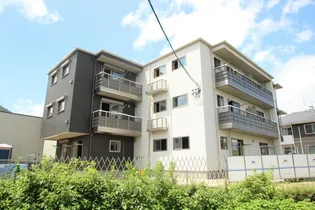 PEPPERGRASSの画像