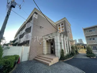 ルピナスの画像