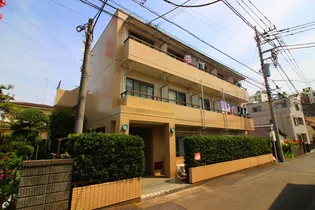 テラ コーポラスの画像