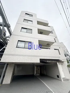 HARU菊名IIの画像