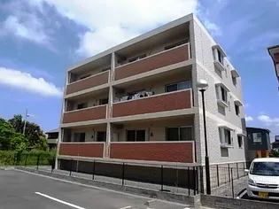マスカット Lの画像
