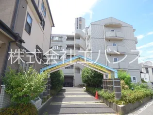 リバーハイツ【2階】の外観