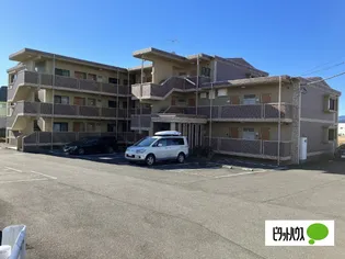 アルストロメリアの画像