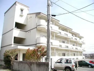 丸武マンションの画像