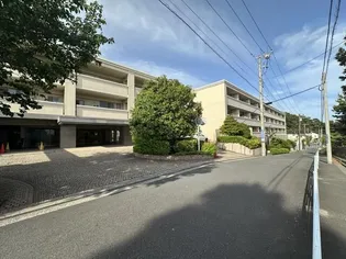 コスモ横濱本牧シーサイドテラスの画像