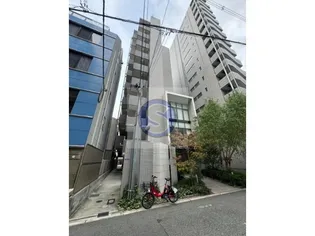 ハナミズキ福島の画像