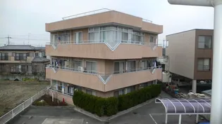 パレスNEWV A棟の画像